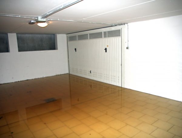 Storm Recovery Service in Brandon