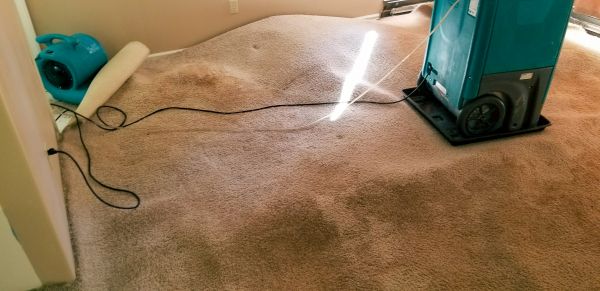Carpet Water Extraction in Brandon