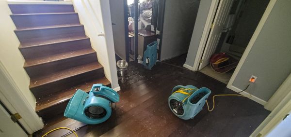 Water Damage Remediation in Brandon