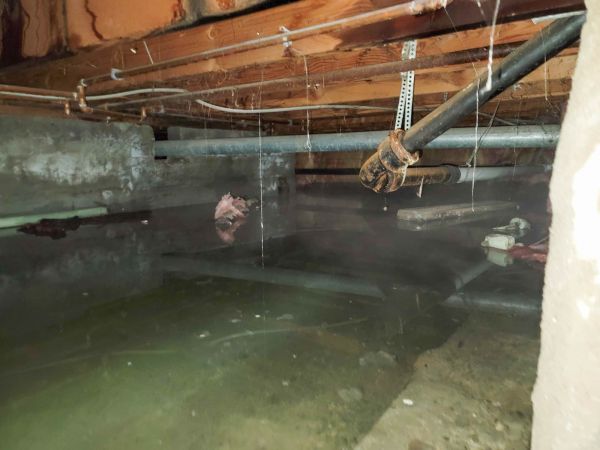 Water Mitigation Service in Brandon