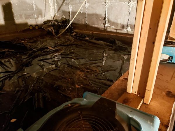 Crawlspace Water Cleanup in Brandon